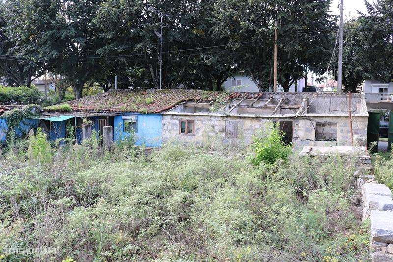 Propriedade c/ 1.800 m2 com  5  artigos urbanos em S. Vicente - Braga-20