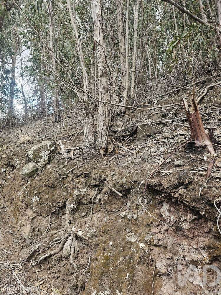 Terreno em Água de Pena de 10100,00 m2 - Grande imagem: 4/5