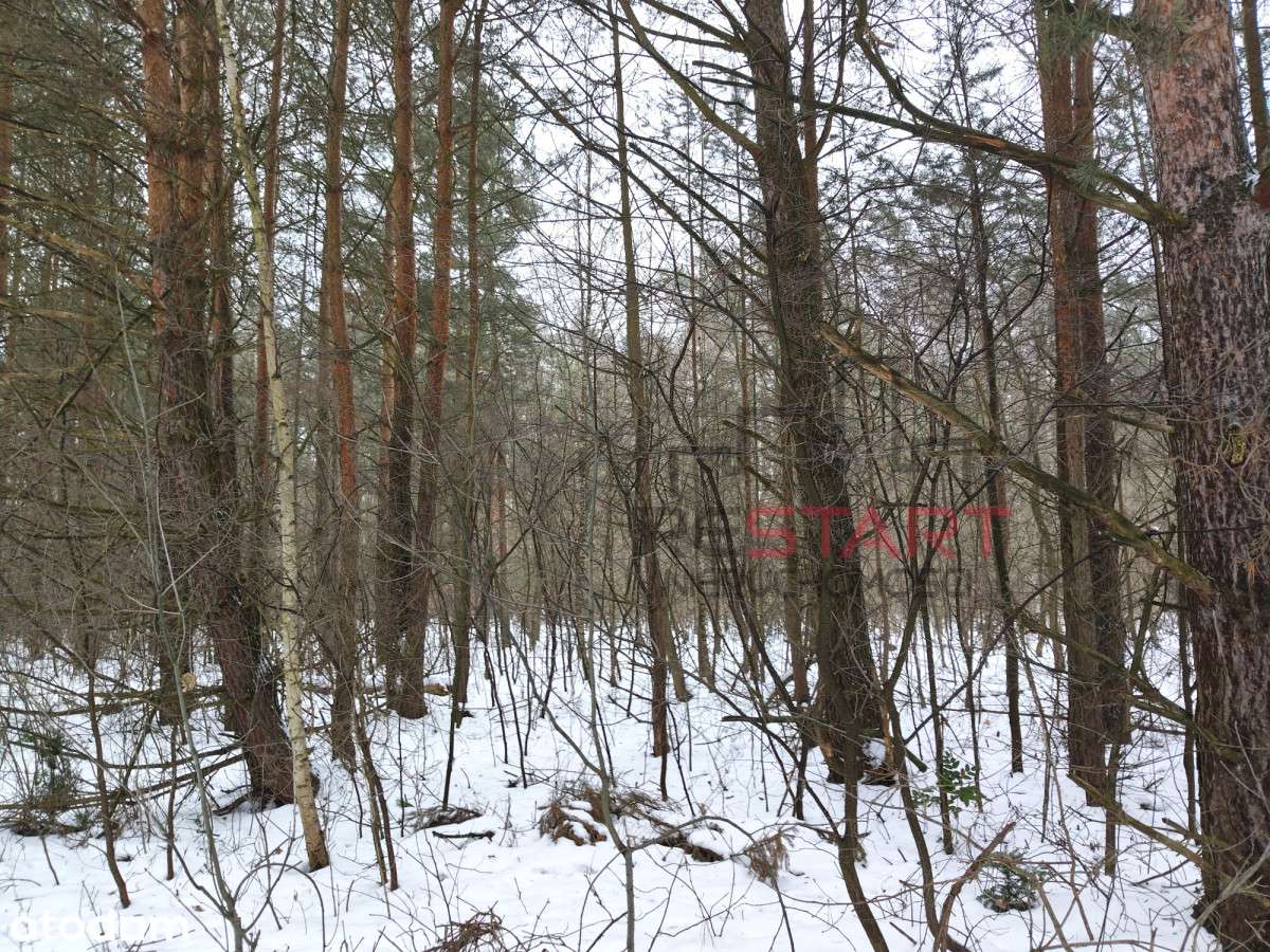 Działka rekreacyjna na mały domek-2