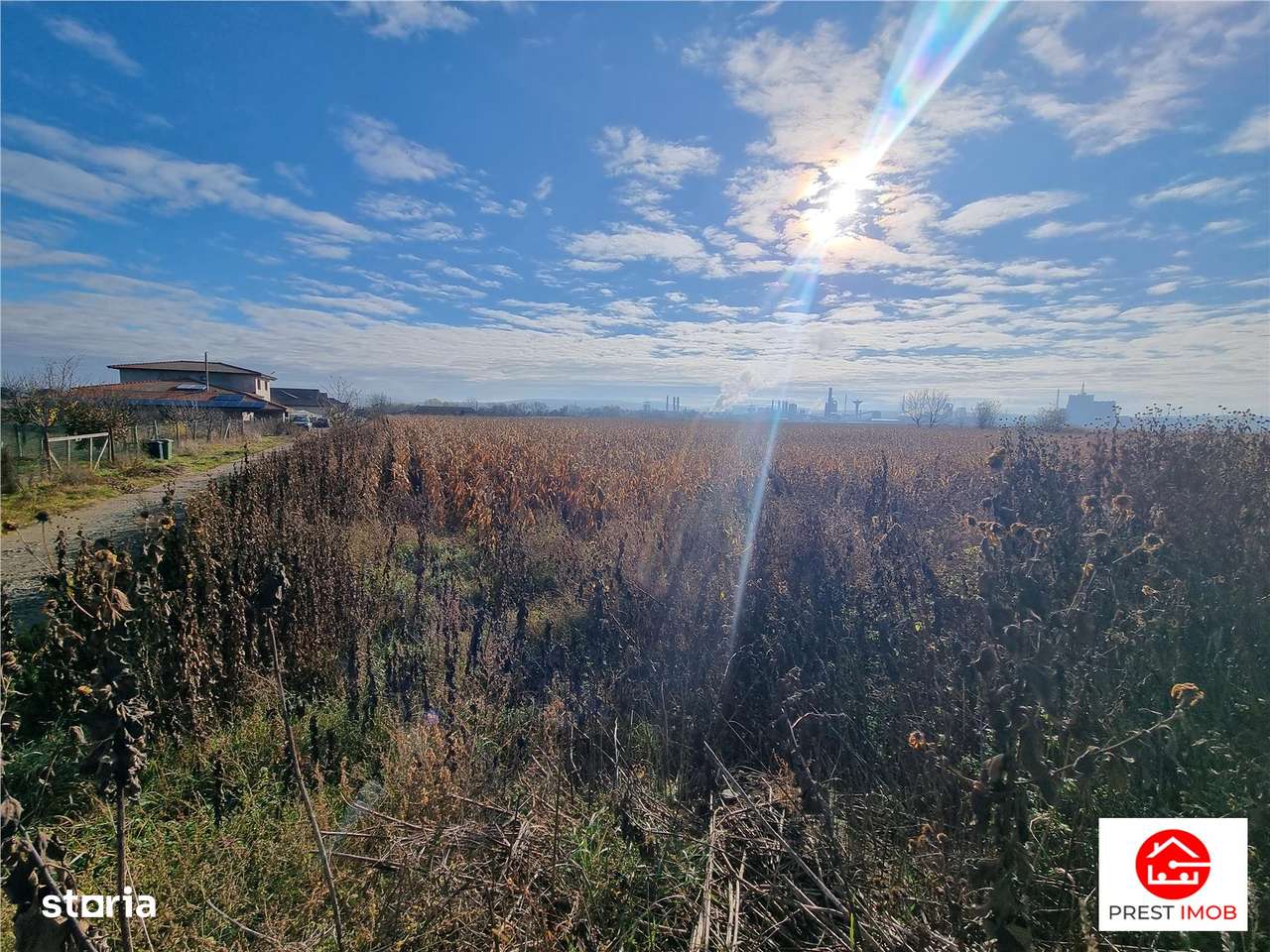 Teren intravilan 39 arii, posibil 7 parcele, strada graului, Nazna-4