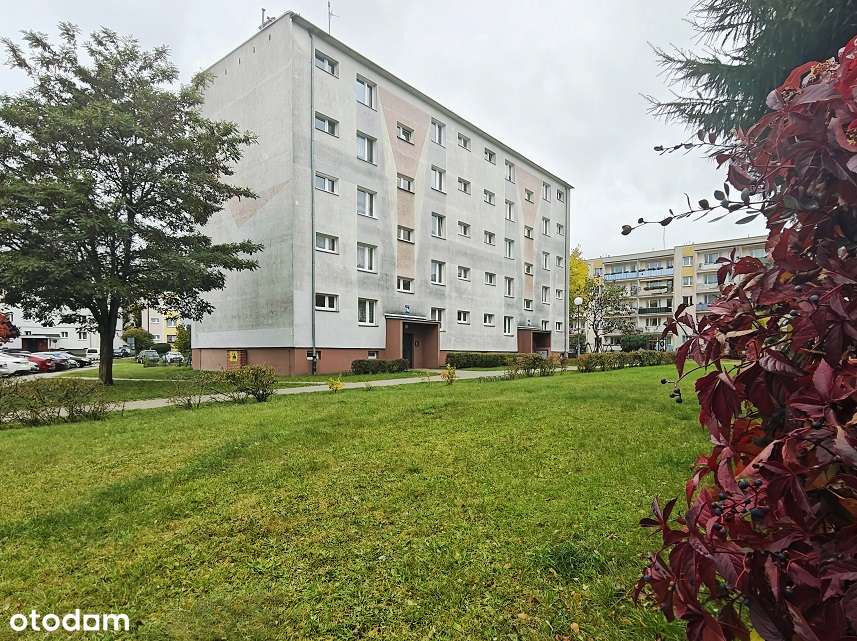 3 pokoje do wprowadzenia/idealne pod wynajem - Pełny obrazek: 2/20