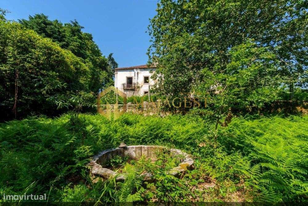 Quinta do Buraco em Vila de Cucujães-12