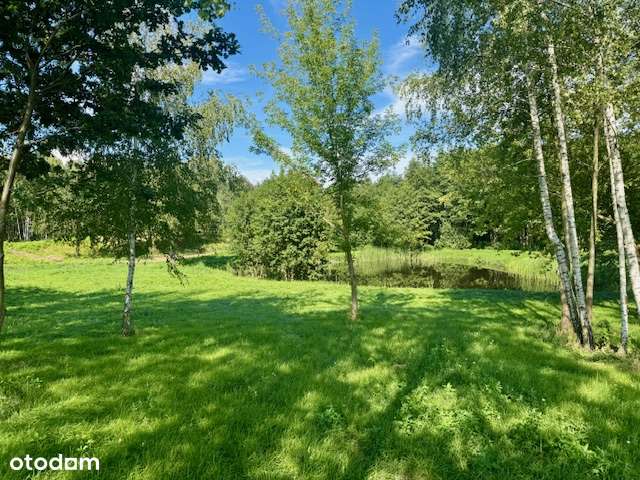 DZIAŁKA BUDOWLANA 25 km od Włocławka-7