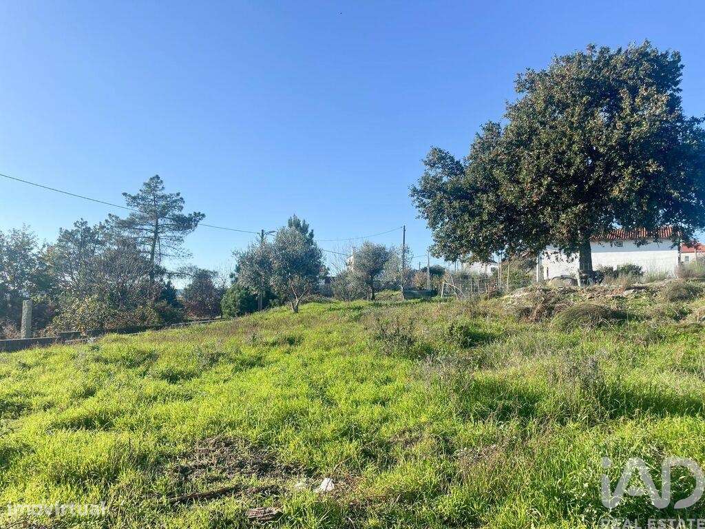 Terreno em Povolide de 8415,00 m2 - Grande imagem: 4/15