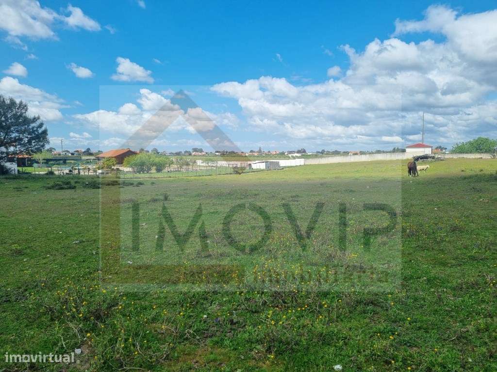 Terreno Urbano 5000m2 - Grande imagem: 3/7