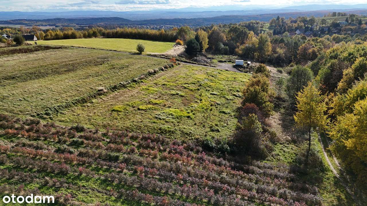 Gmina Czernichów, Rybna – 53 ary - Pełny obrazek: 5/7