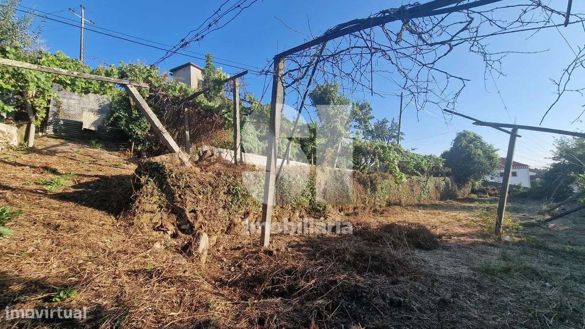 Terreno - potencial de investimento - Astromil - Paredes-22