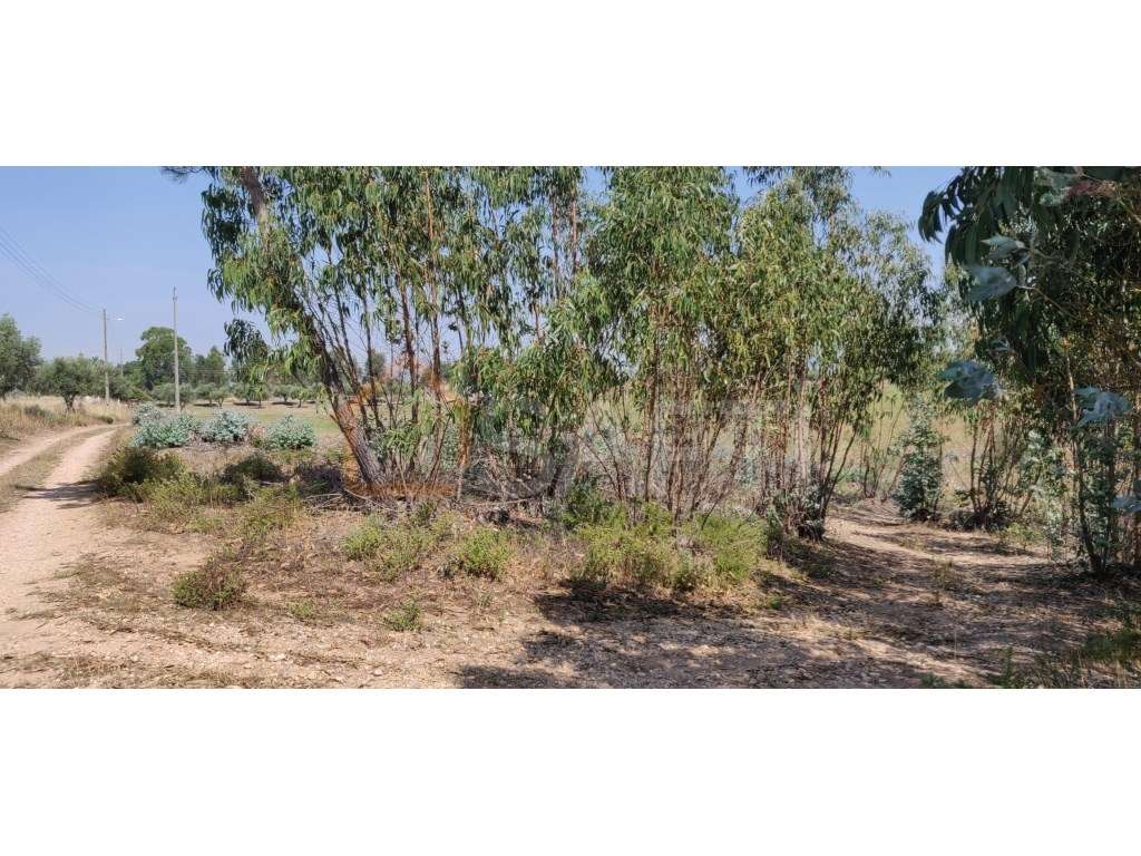 Terreno Rustico para Venda em ValeBarco. - Grande imagem: 2/5