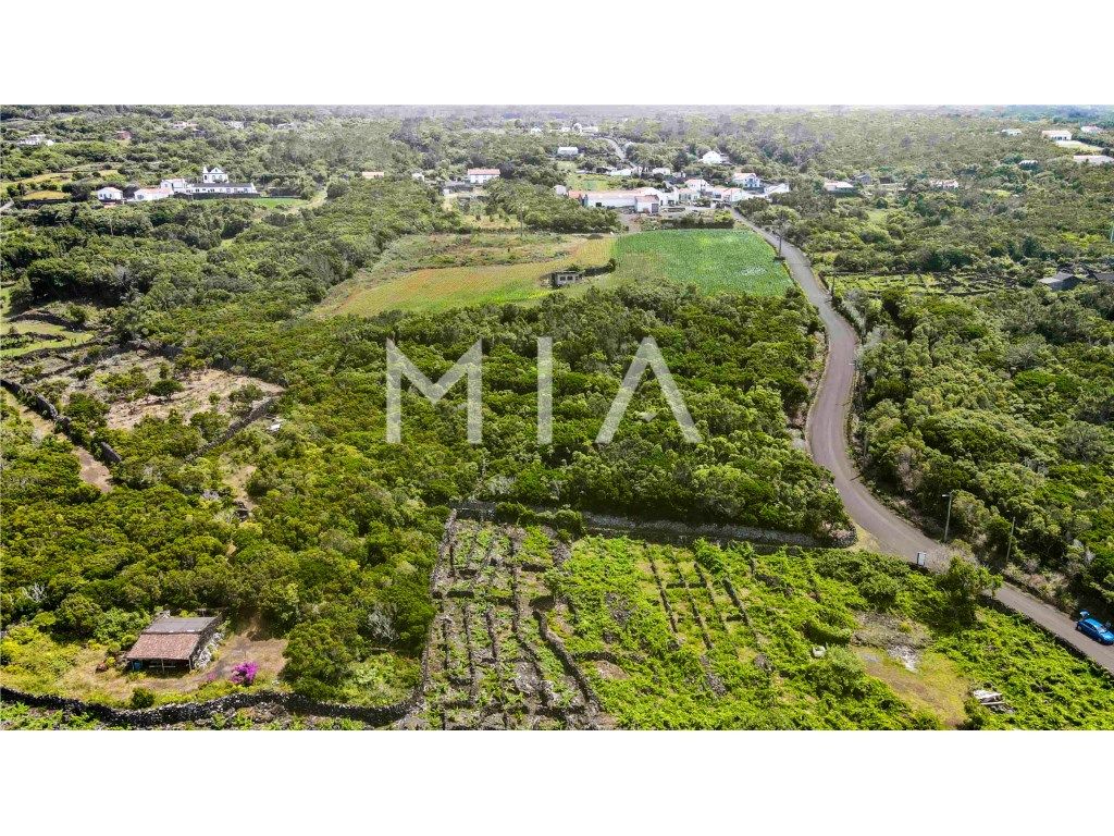 Terreno com Projeto Aprovado - São Roque do Pico