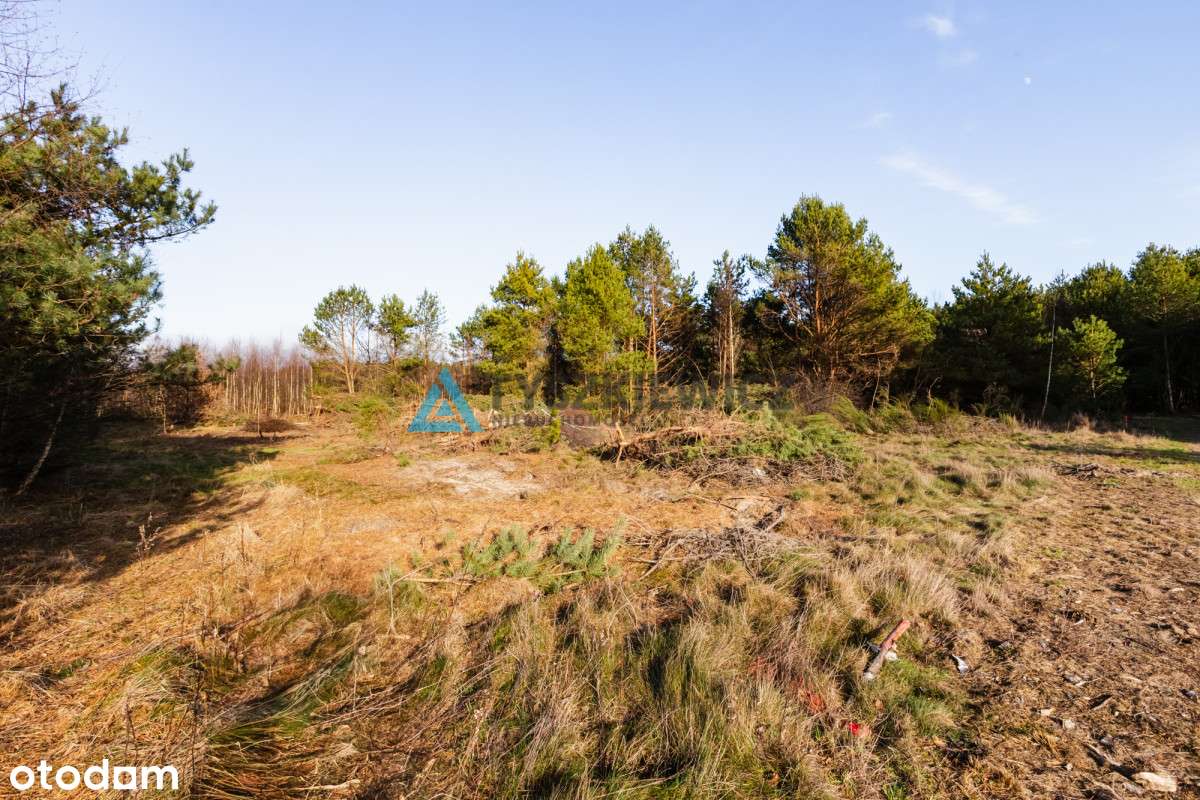 Działka rolna blisko morza. - Pełny obrazek: 5/12