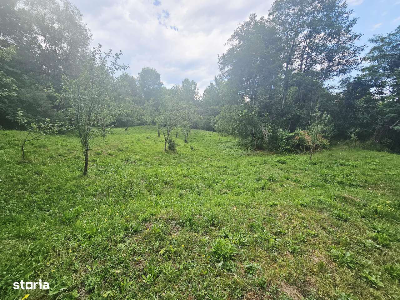 Teren intravilan de vânzare – 2.190 mp – Podu Vadului, Breaza - Imagine principală: 2/16