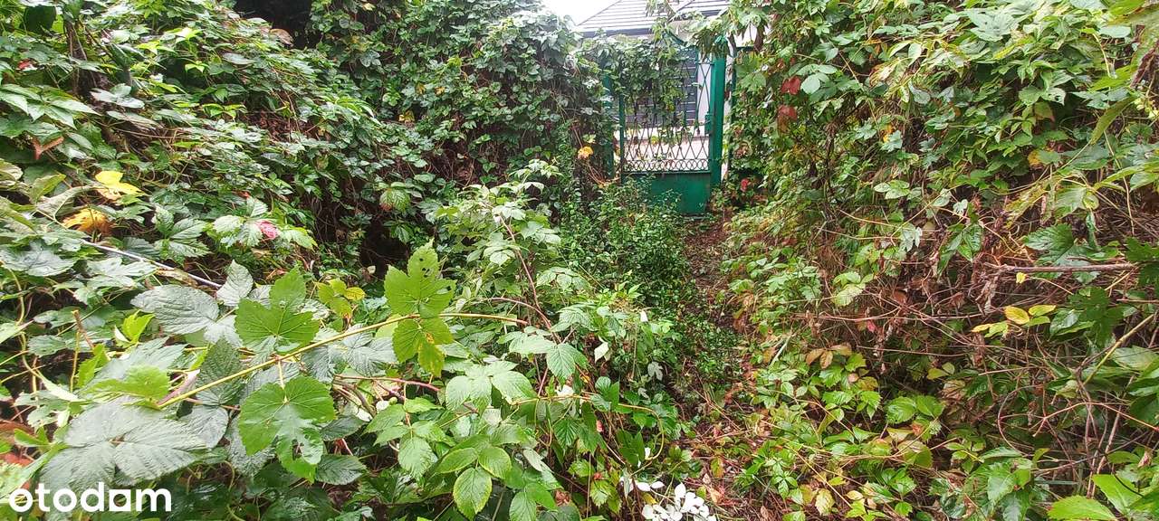 Udziały na sprzedaż- Działka w otoczeniu zabudowy jednorodzinnej-6