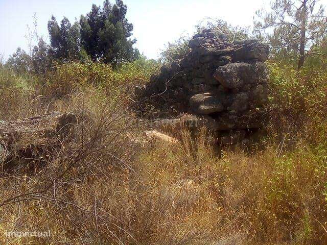 Terreno Rústico, Salgueiro do Campo - Grande imagem: 3/7