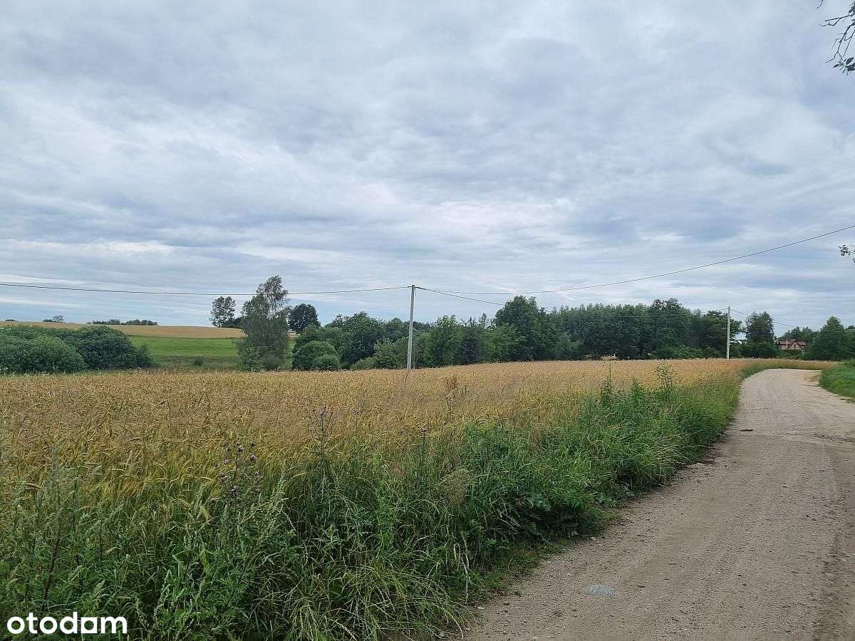 Inwestycja na wiejską osadę 6 domów-3