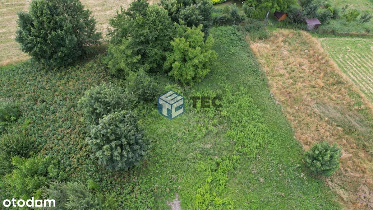 Budowlana | Cicha okolica | Na dom marzeń - Pełny obrazek: 4/14