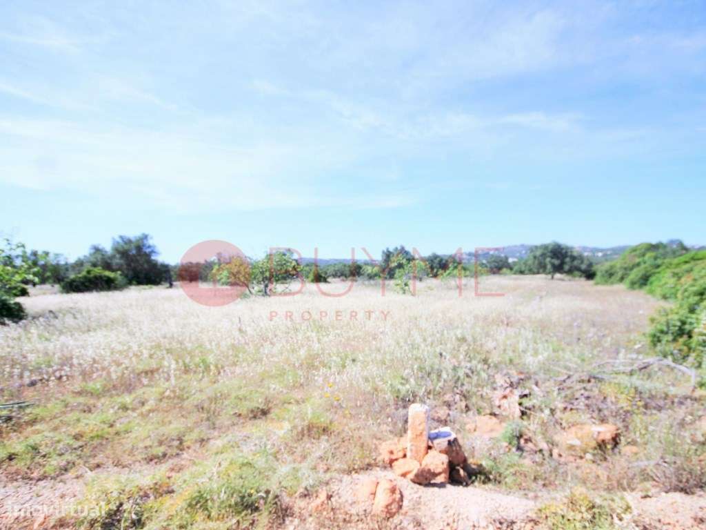 Terreno Rústico com Potencial Agrícola em Loulé / Campina de Baixo - Grande imagem: 3/5