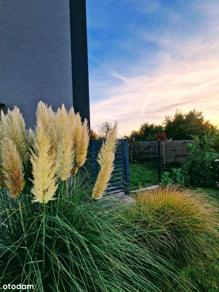 Unikatowy Bliźniak na Wynajem lub Sprzedaż Krzekowo - Pełny obrazek: 5/13