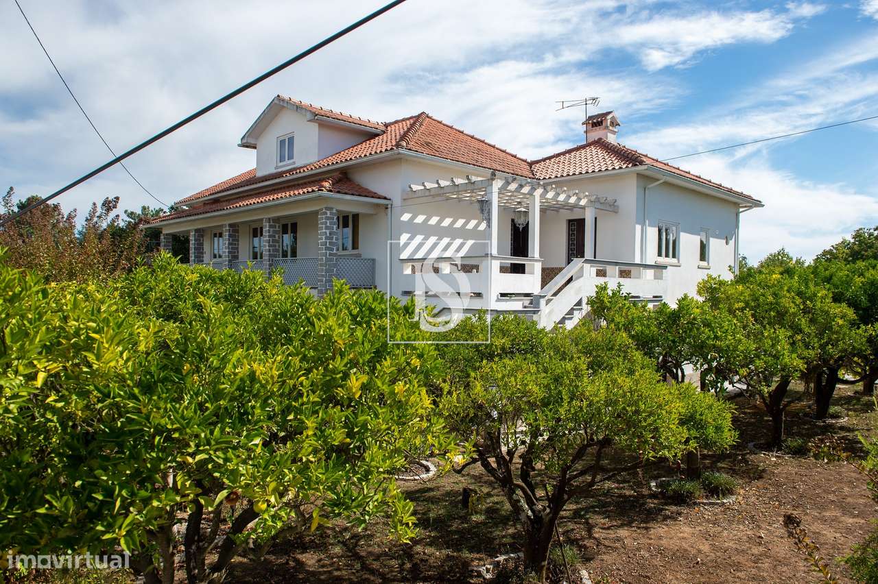 Quinta com 16500m2-5