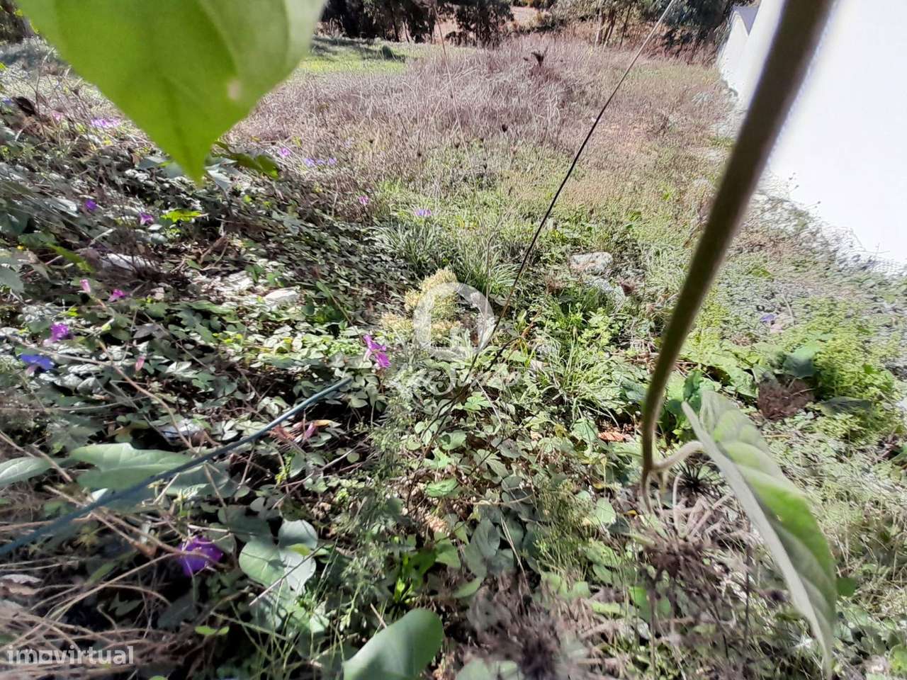 Terreno para Moradia em Balazar 300m2, Póvoa de Varzim - Grande imagem: 4/7