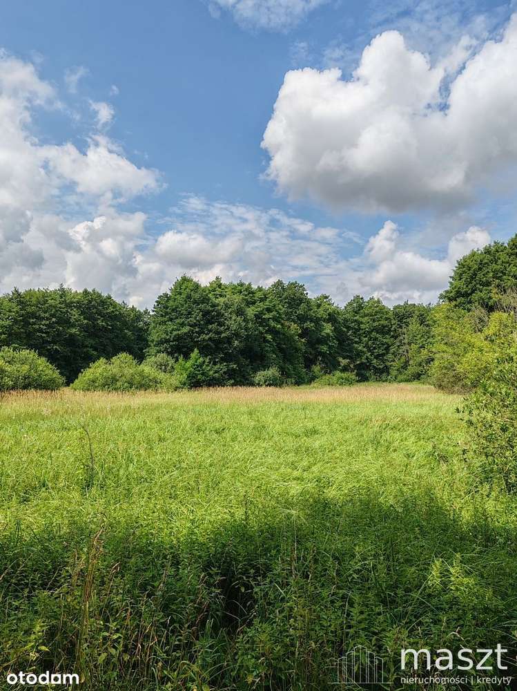 nowa cena - O K A Z J A - działka rolna - 1,9 ha-1