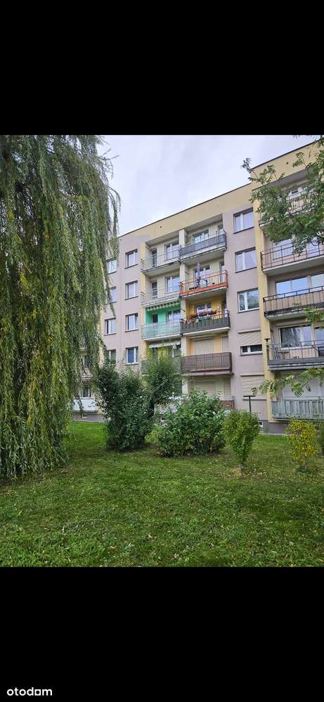 Sprzedam słoneczne i funkcjonalne mieszkanie na zadbanym osiedlu - Pełny obrazek: 5/10