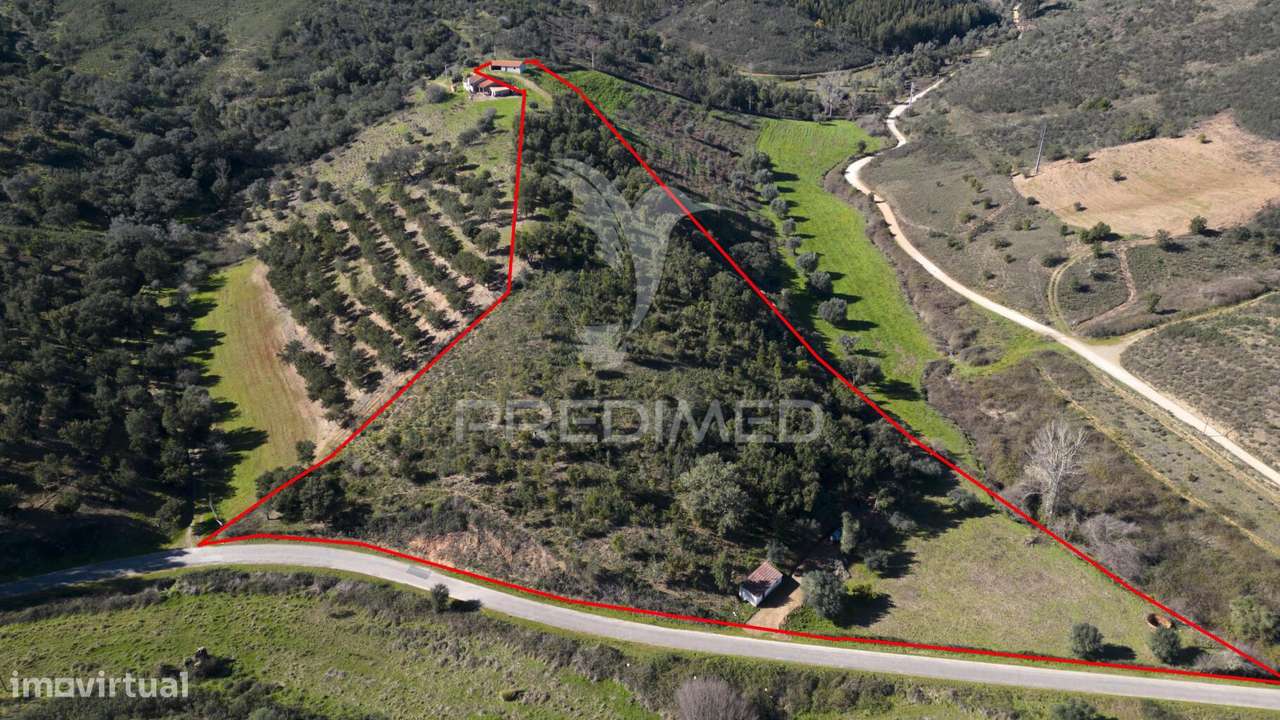 Quinta em São Martinho das Amoreiras. - Grande imagem: 4/27