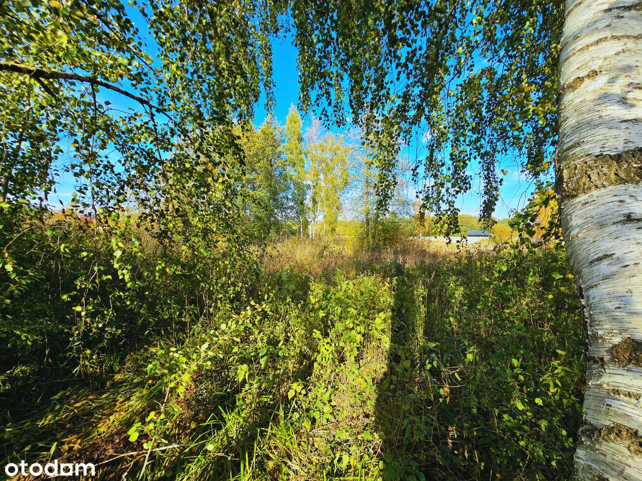 Działka pod inwestycję turystyczno-rekreacyjną, 3 ha,70 km od Warszawy-14