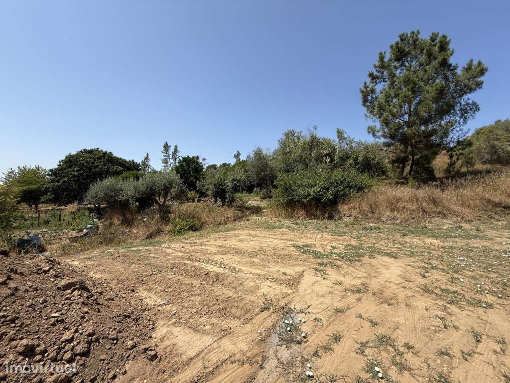 Refúgio D'Olival | Moradia T2+1 Totalmente Remodelada-35