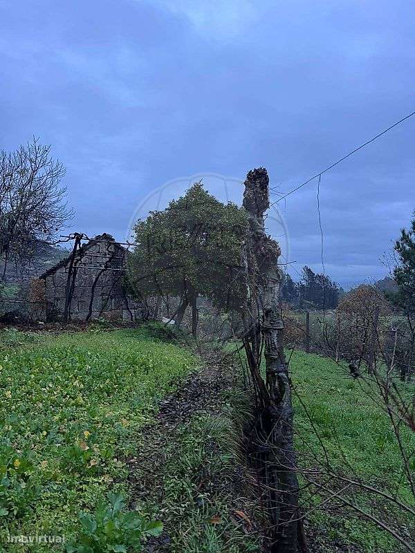 Quinta  para venda - Grande imagem: 3/11