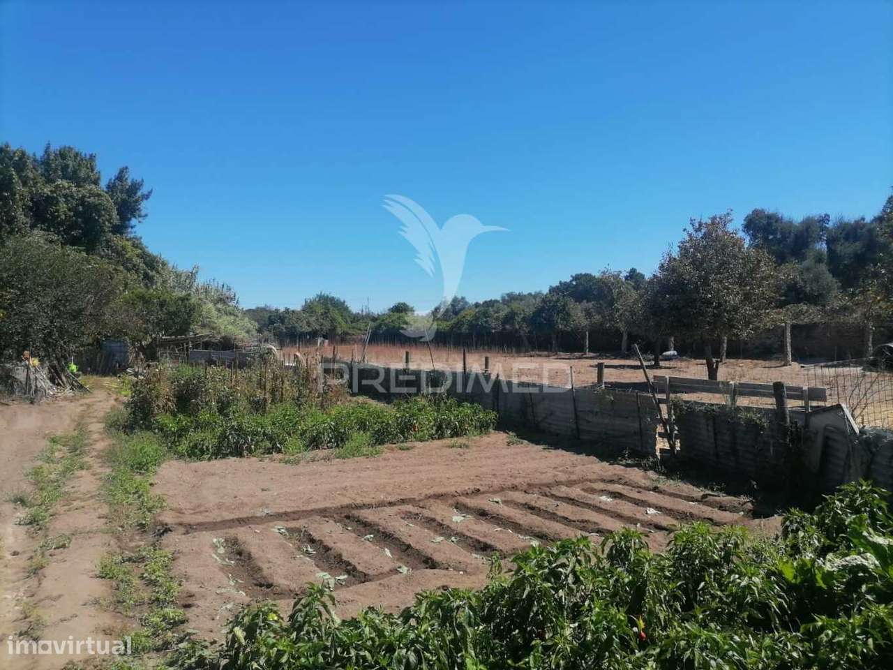 Terreno - Grande imagem: 5/6