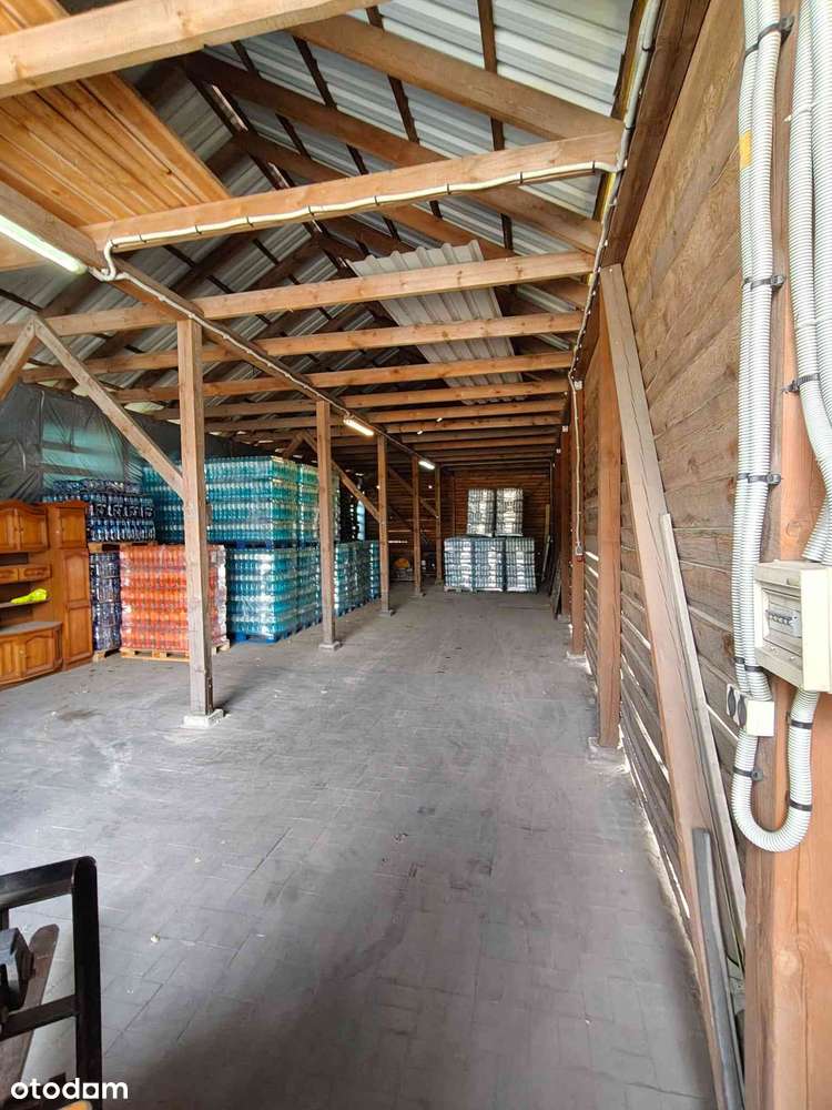 Hala magazynowa 850 m2 położona na działce 2736 m2 - Pełny obrazek: 5/8