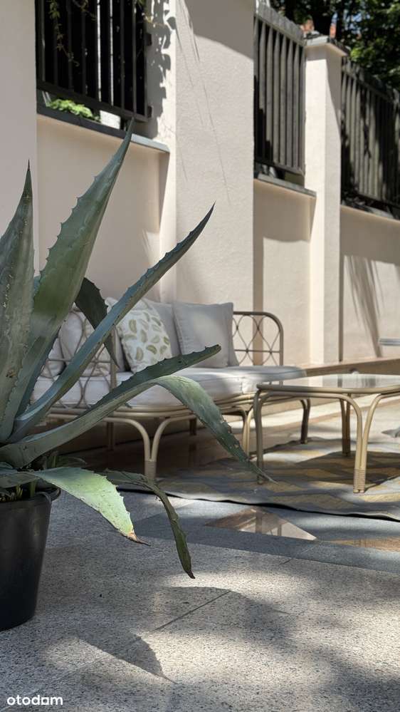 Lokal Usługowy | Handlowy | Showroom | Klinika | Biuro - Pełny obrazek: 5/15