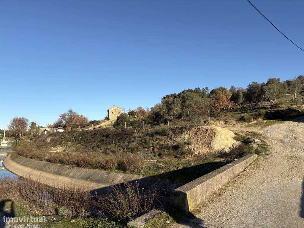 Quinta com casa em pedra para recuperar-7