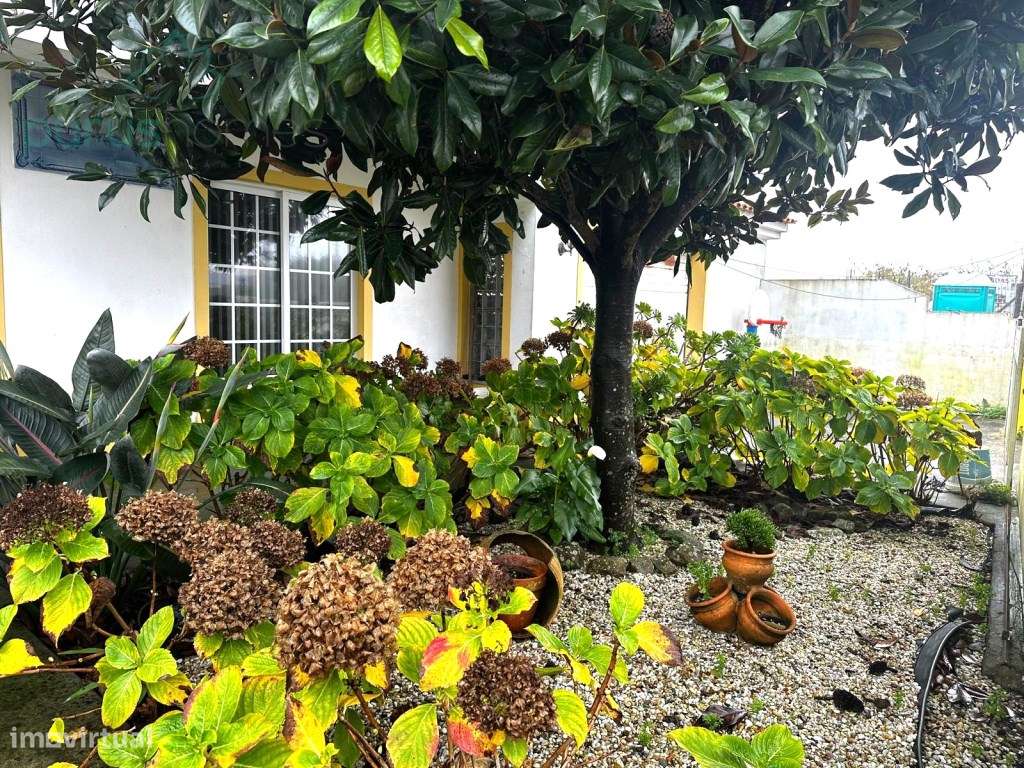 Moradia T4 - São Jacinto Aveiro - Grande imagem: 4/25