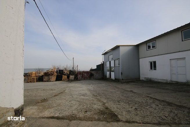 Vindem 2 Hale Si Teren 2736 mp Magura Vizavi de Farbe-18