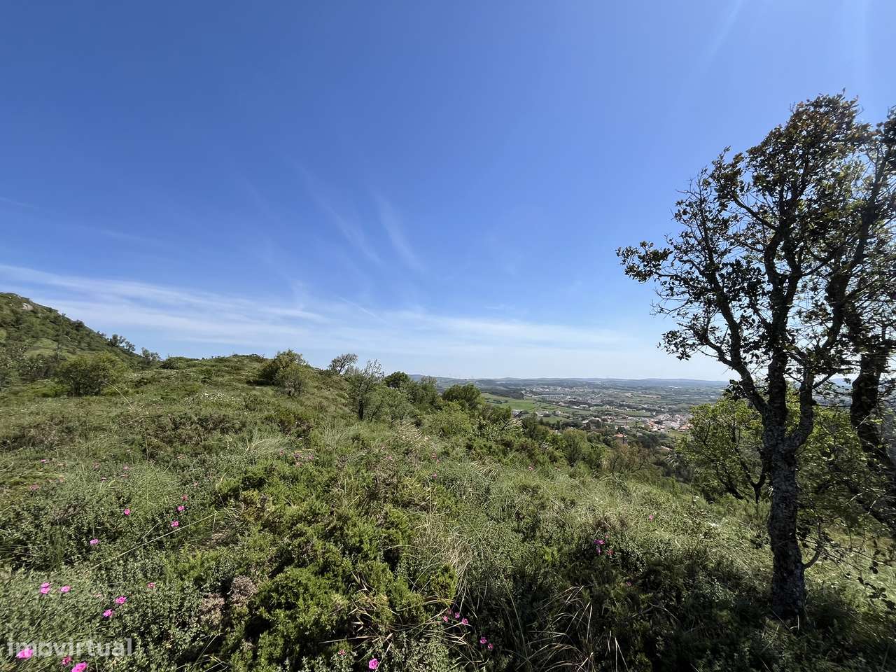 Terreno Misto com 20625 m2, Milharado, Mafra - Grande imagem: 4/10