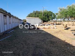 Terreno e Exploração Pecuária, com electricidade, agua e gás - Grande imagem: 2/15