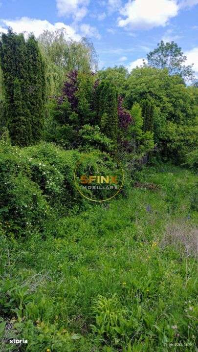 Teren intravilan cu deschidere la parau in Breaza – Strada Primaveri - Imagine principală: 5/11