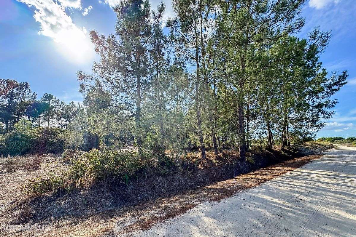 Terreno  para venda - Grande imagem: 5/8