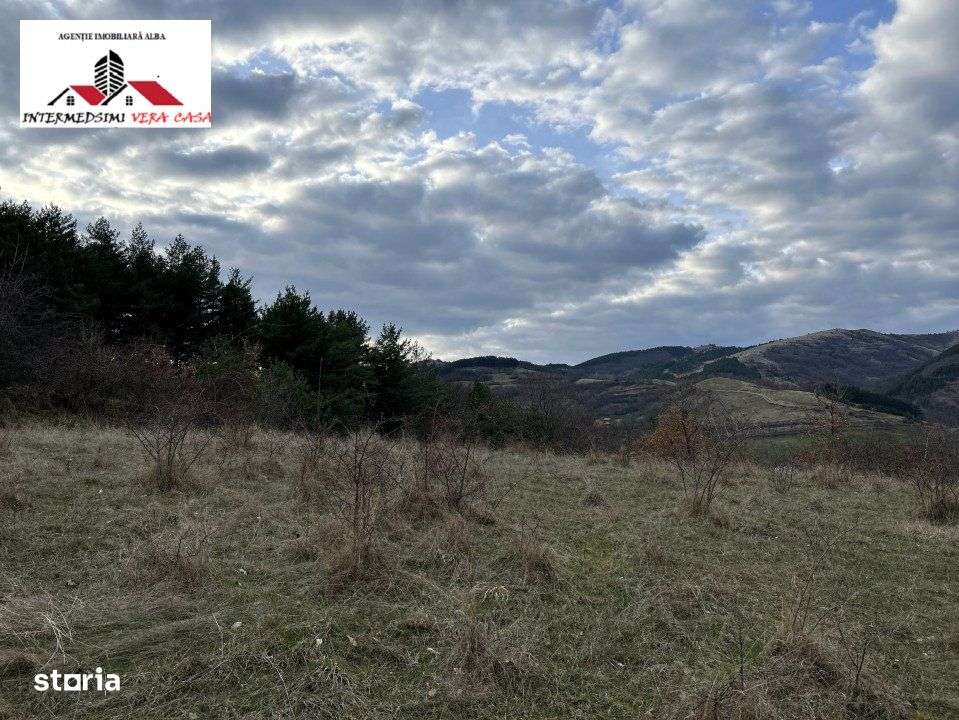 Teren extravilan 20750 mp de vanzare Inuri - Vintu de Jos Jud  Alba - Imagine principală: 5/14