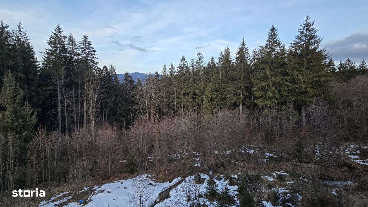 De vanzare pensiune Predeal-15