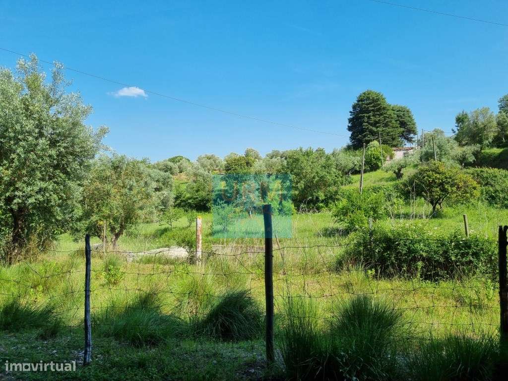 TERRENO Urbano - Grande imagem: 4/17