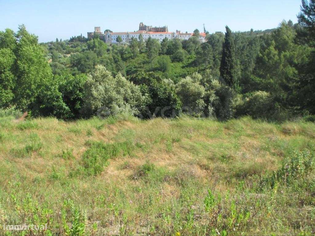 Lote para Construção - Grande imagem: 4/8