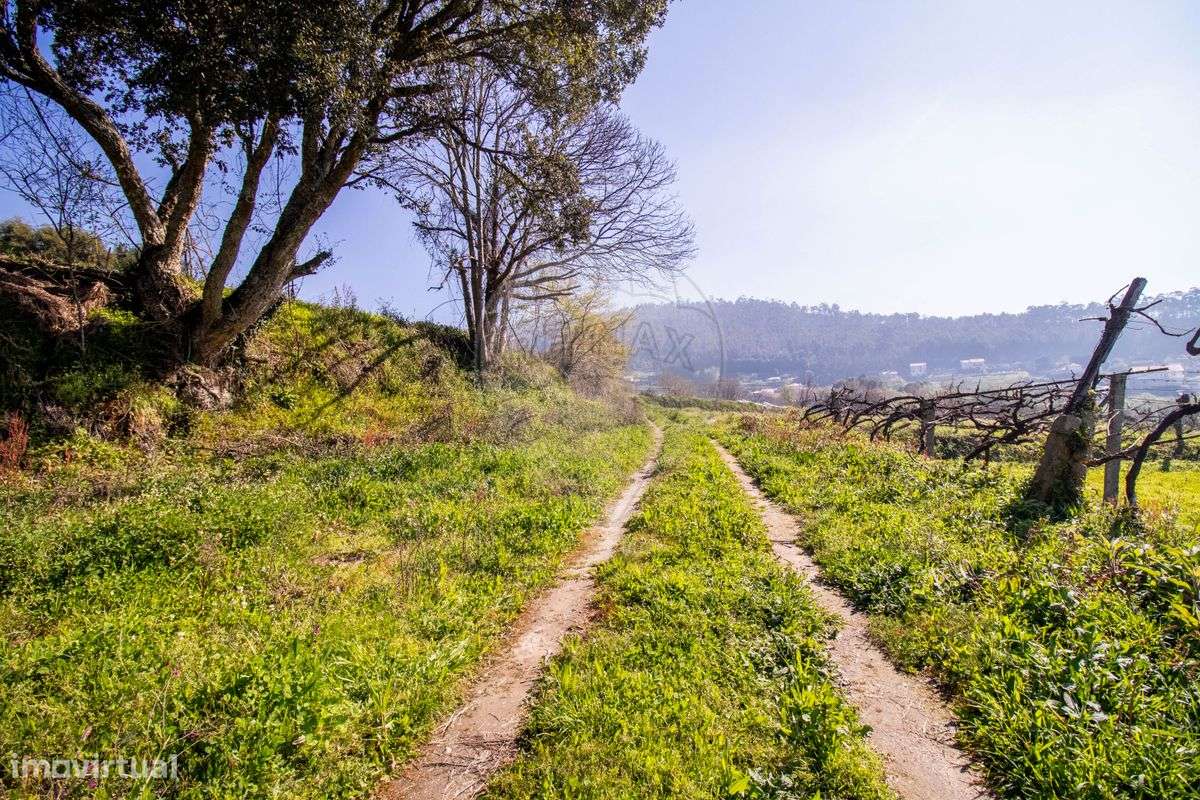 Terreno  para venda - Grande imagem: 5/36