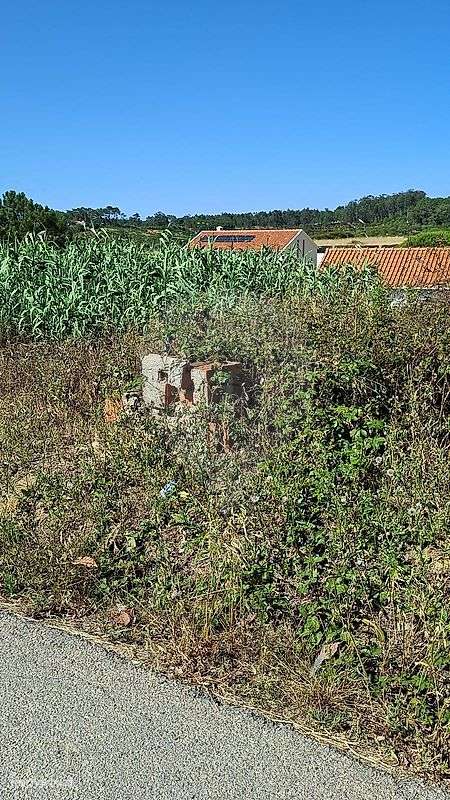 Terreno  para venda-10