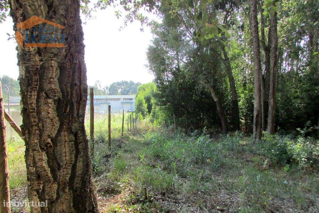 Terreno Grijo, para a contrução de Moradia de 4 frentes - Grande imagem: 5/11