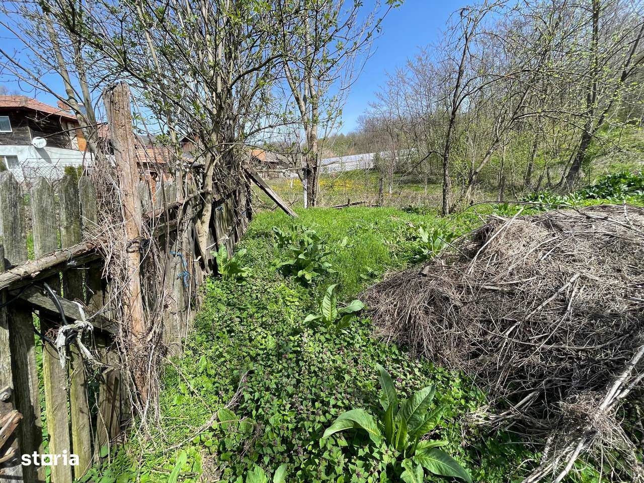 Oportunitate de Investiție în Slănic Prahova-3