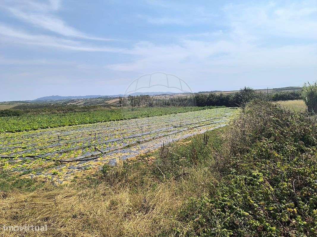 Terreno  para venda-5