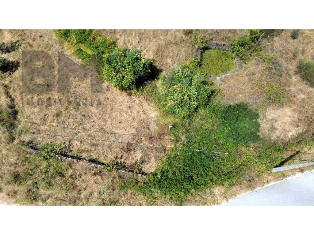 Terreno rústico com 560m2, para venda, em Salgueiro do Campo. - Grande imagem: 3/9
