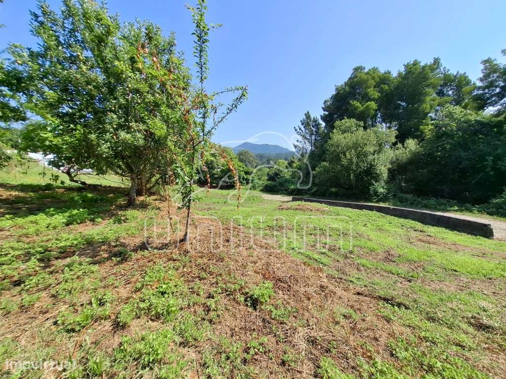 Moradia Lanheses - Grande imagem: 3/14